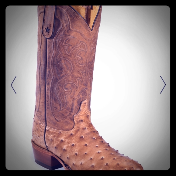 Mens Tony Lama full quill ostrich boots - Picture 1 of 3